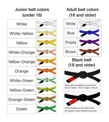 CVJJA Student Information The Chagrin Valley Jiu Jitsu Academy